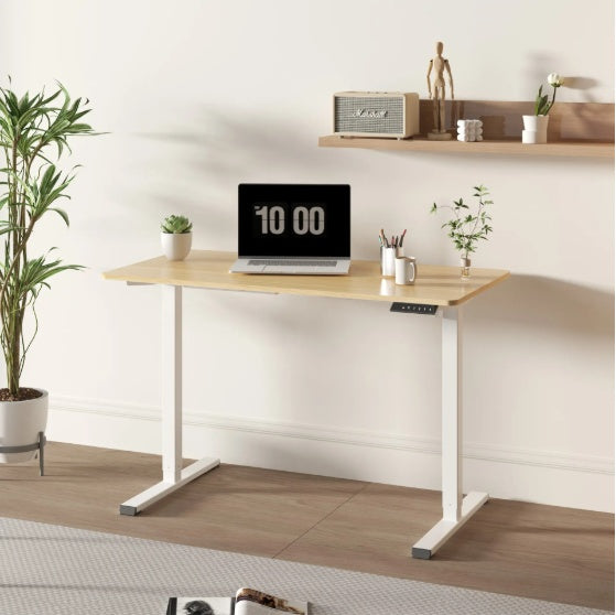 Electric Standing Desk Adjustable Height Desk Home Office Computer Workstation Sit Stand Up Desk